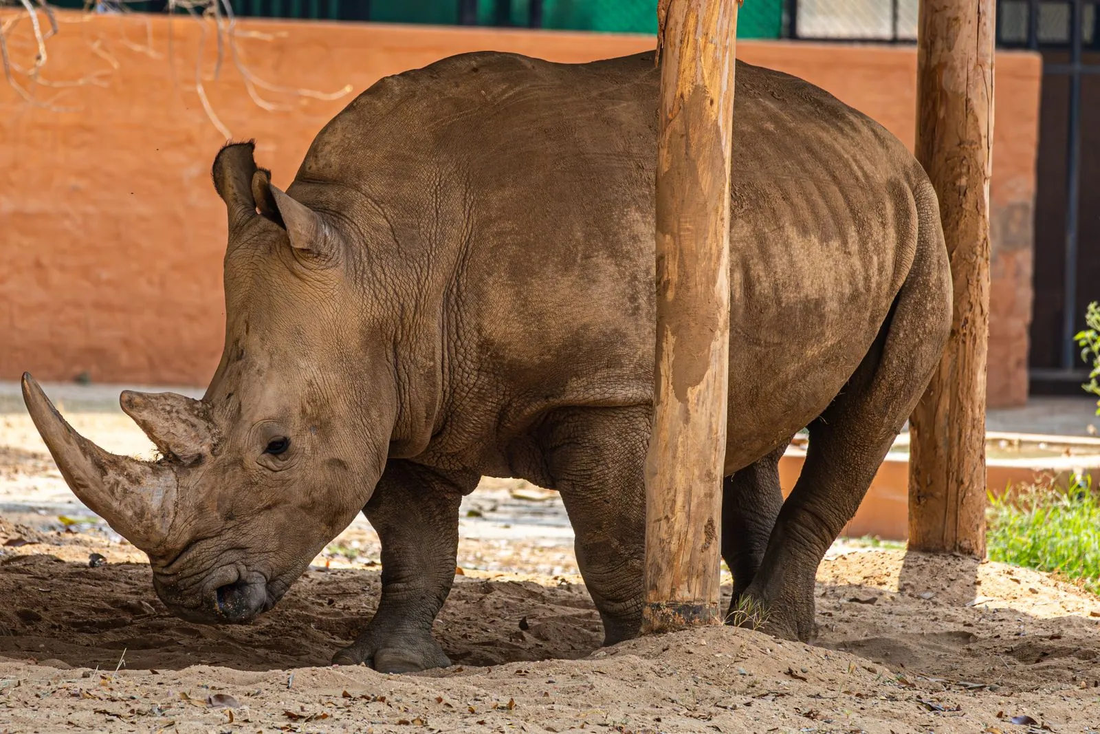Bezoek aan de dierentuin Terra Natura