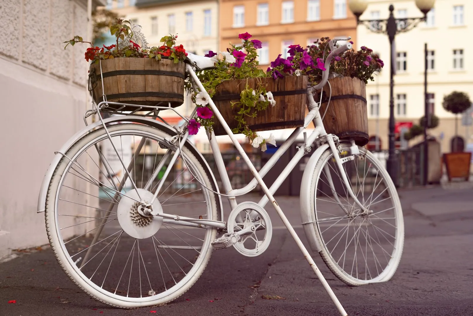 Waar kun je fietsen langs de Moldau in Zuid-Bohemen?