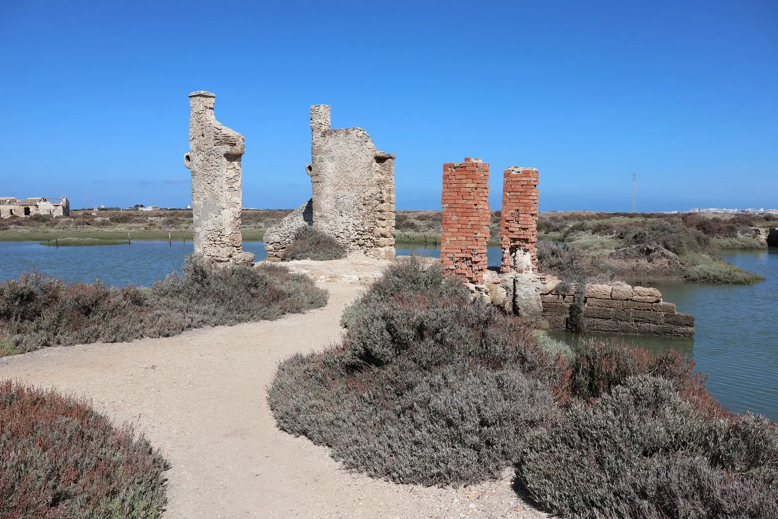 Wilde dieren spotten in het Doñana Nationaal Park