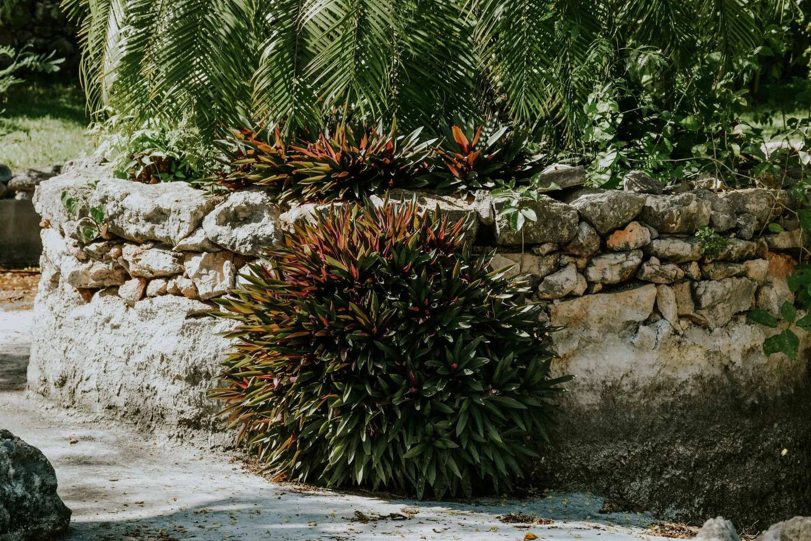 Botanische tuin van Kreta: natuurlijke schoonheid ontdekken