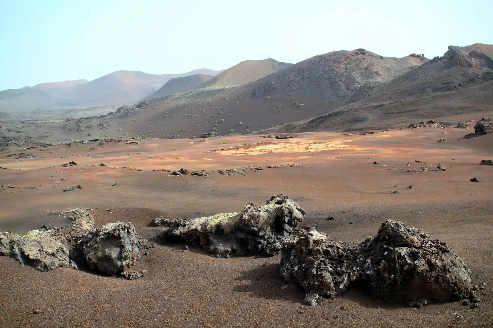 Waar kun je met je hond wandelen in Timanfaya?