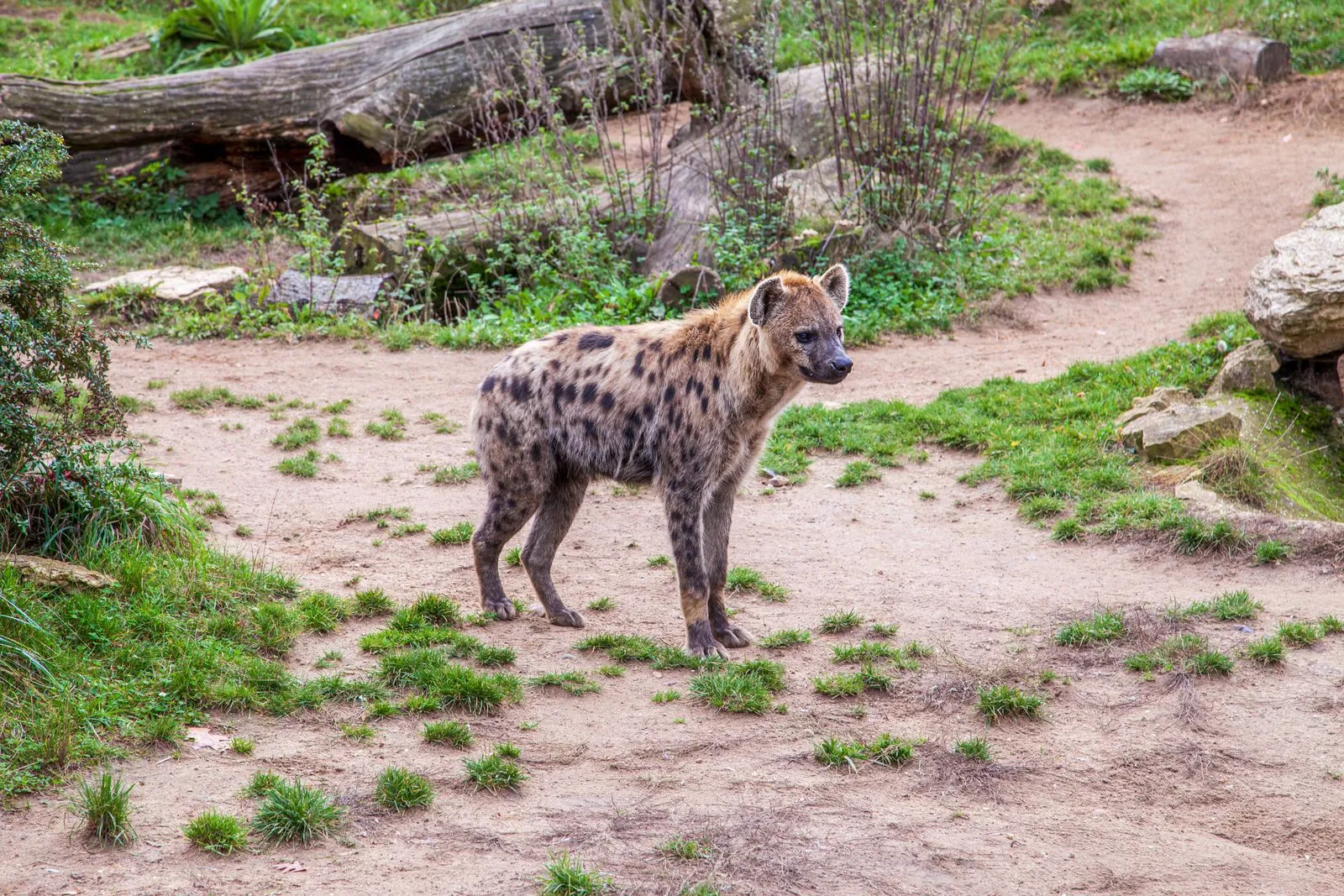 Bezoek aan de dierentuin Neunkirchen