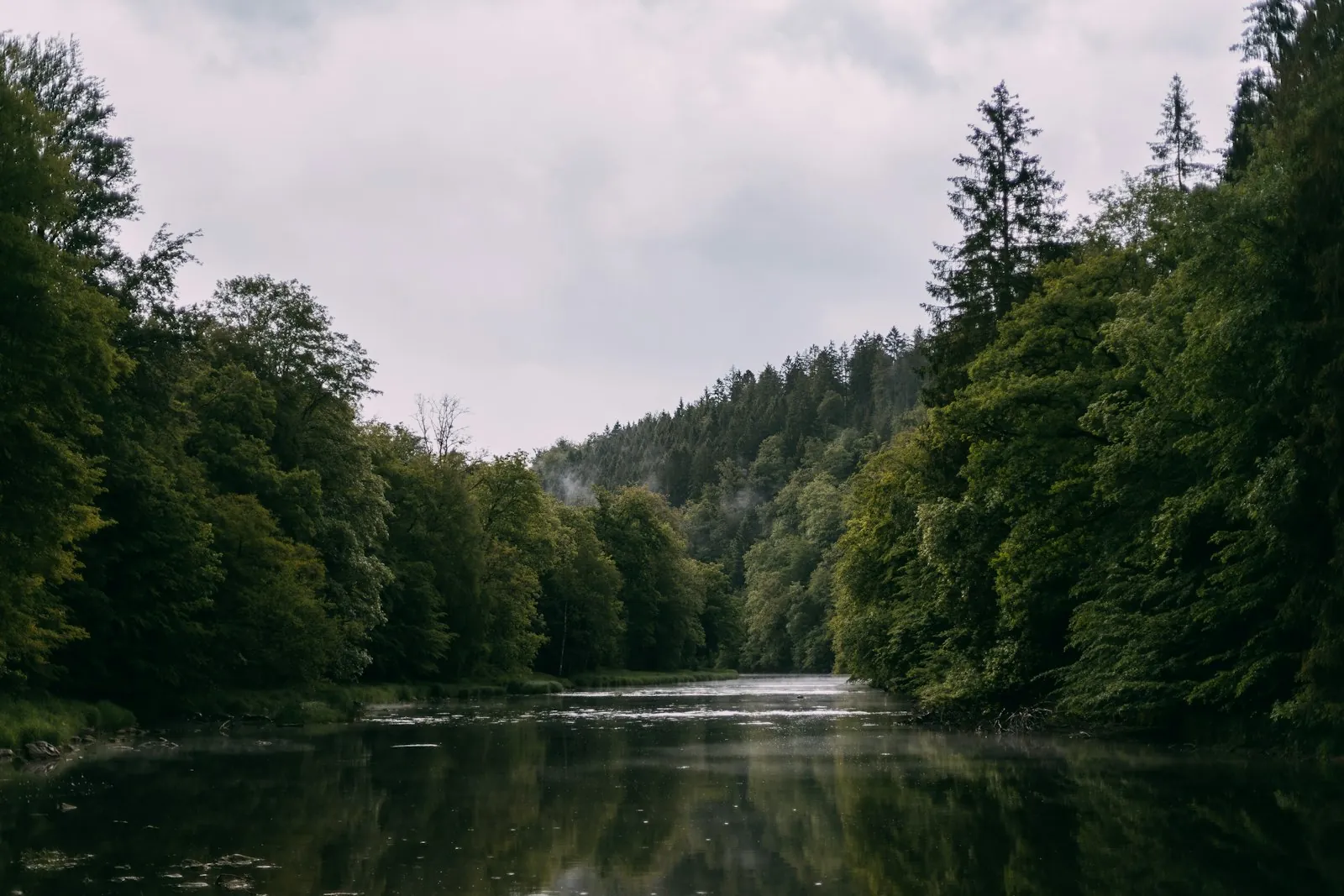 Vakantiehuis in de natuur in België