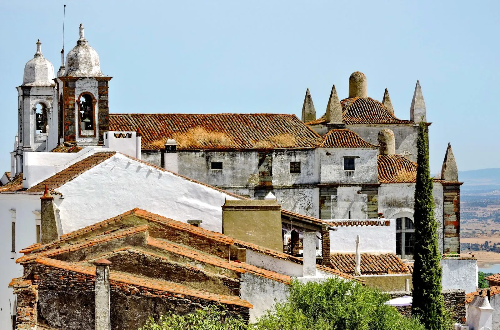 Olijfgaarden en olijfolieproeverijen in Alentejo