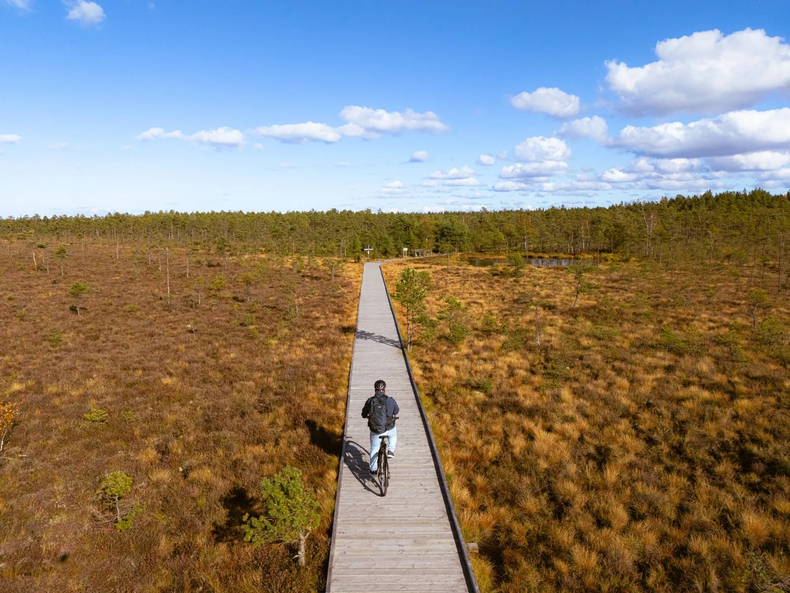 Wandelroute door het natuurreservaat Dumme Mosse