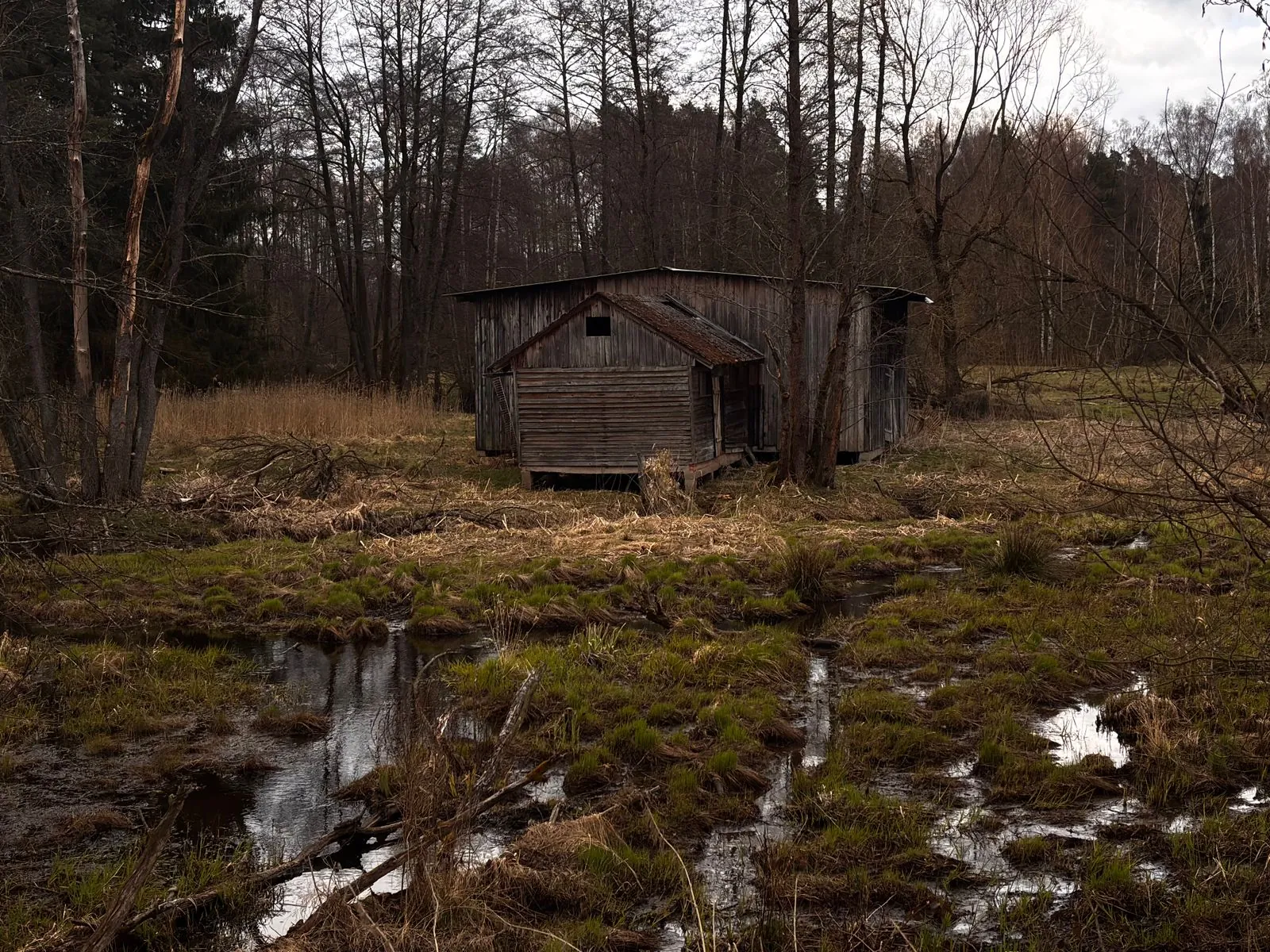 Vakantiehuis in de natuur in Duitsland