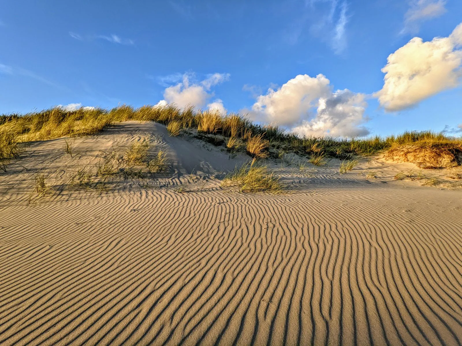 Ruige wandelroute in de Eierlandse Duinen