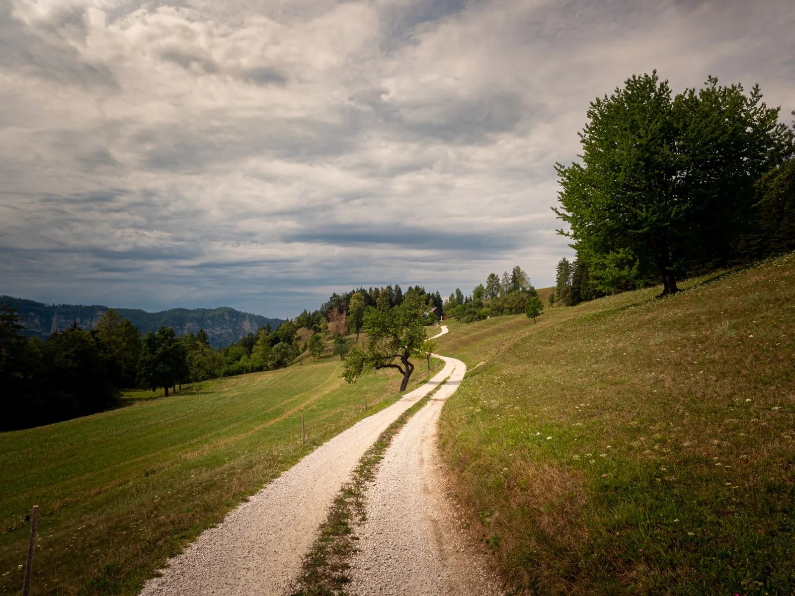Wandelroutes in het natuurpark bij de Wörthersee