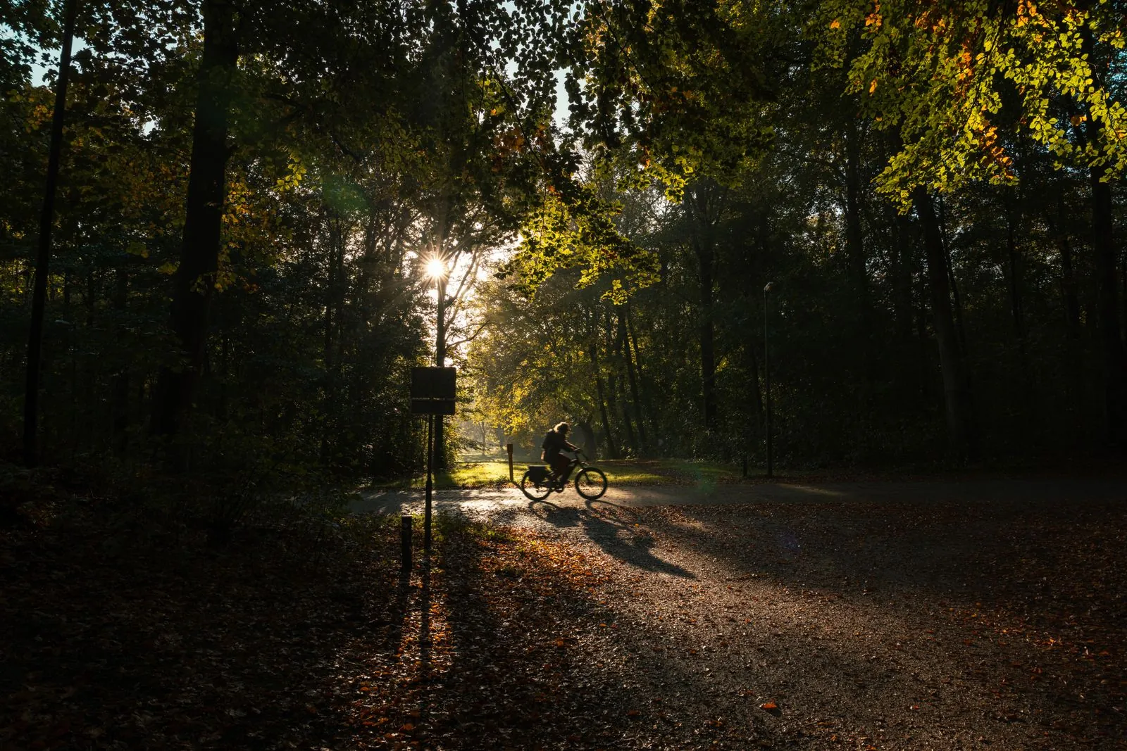Fietsen door de groene bossen van het Wienerwald
