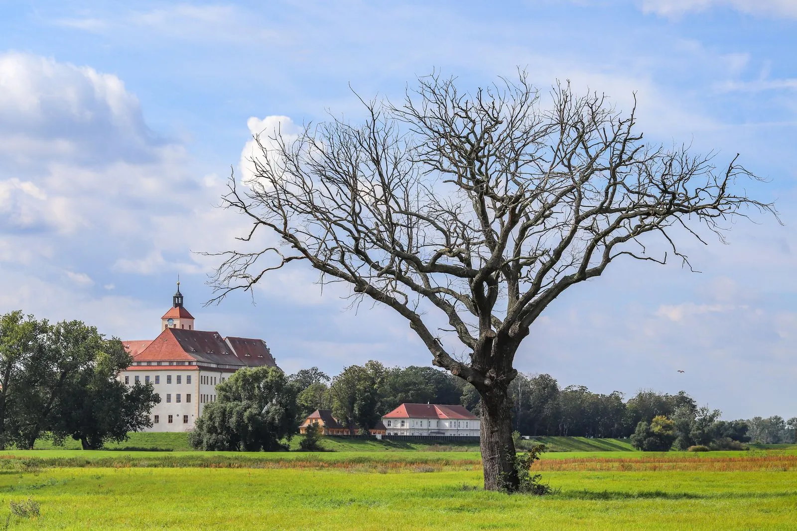 De kindvriendelijke kant van kasteel Neuenburg