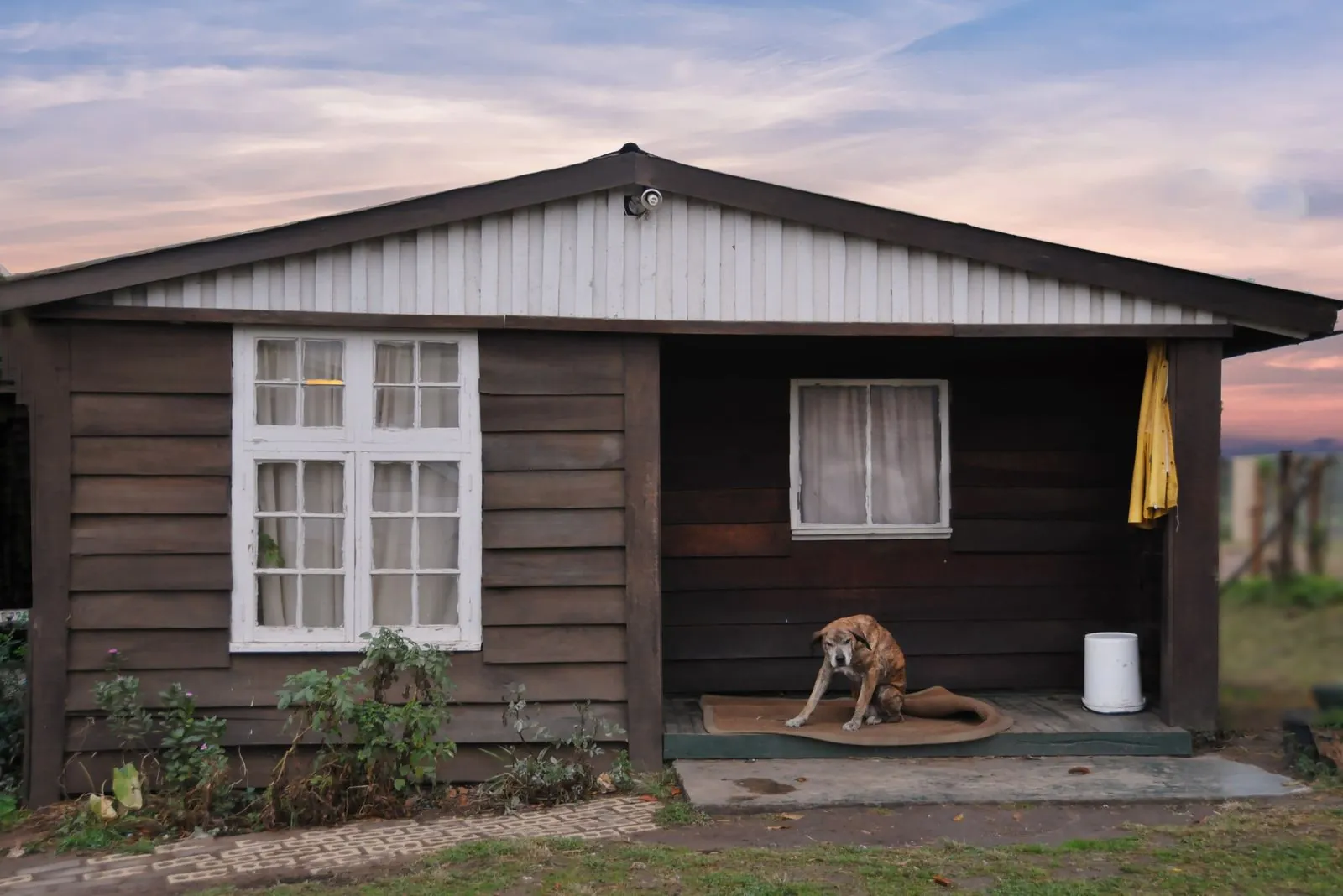 Vakantiehuis hond welkom in België