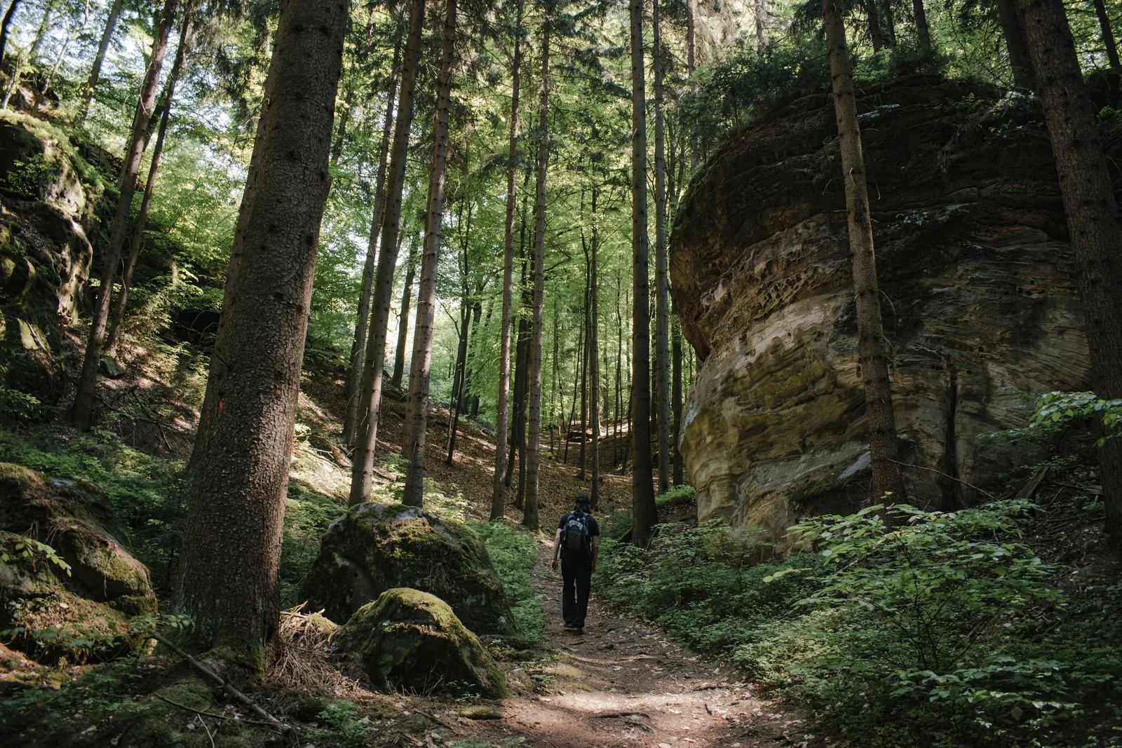 Ongerepte wandelroutes bij fort Cimburk