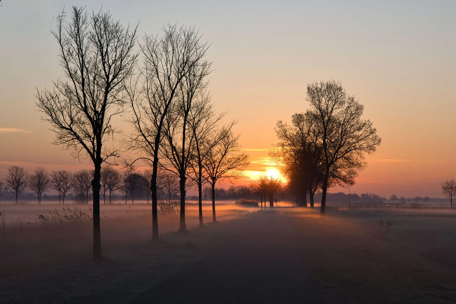 De natuur van de Biesbosch verkennen