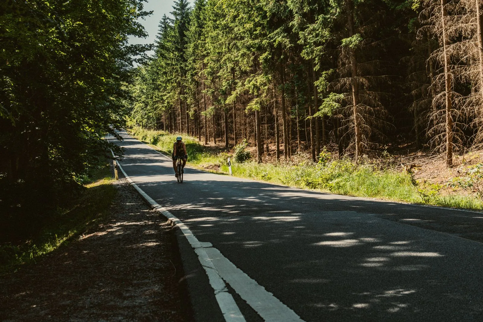 Fietsroute langs Emsland-dierenpark