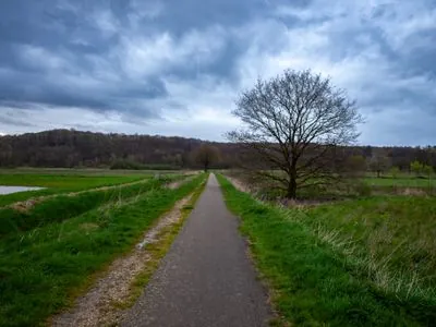 Doorn