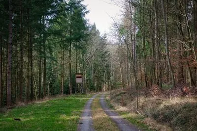 Schöllnach