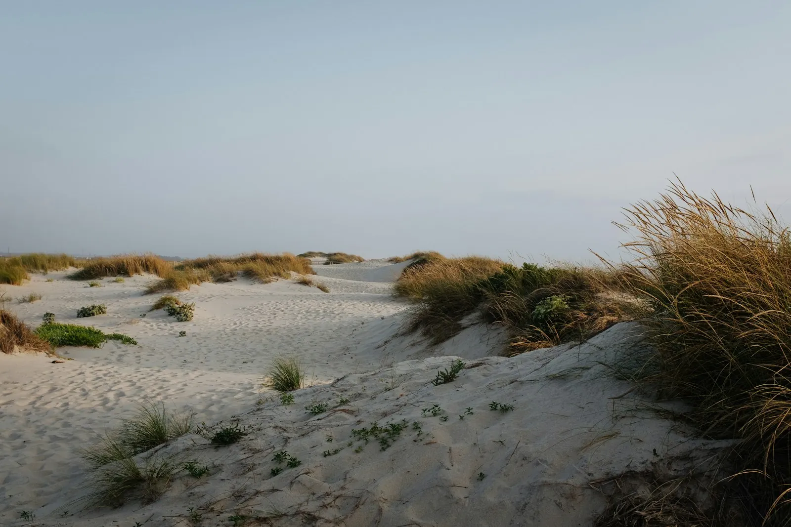 Wandeling door de kleurrijke straten van Costa Nova