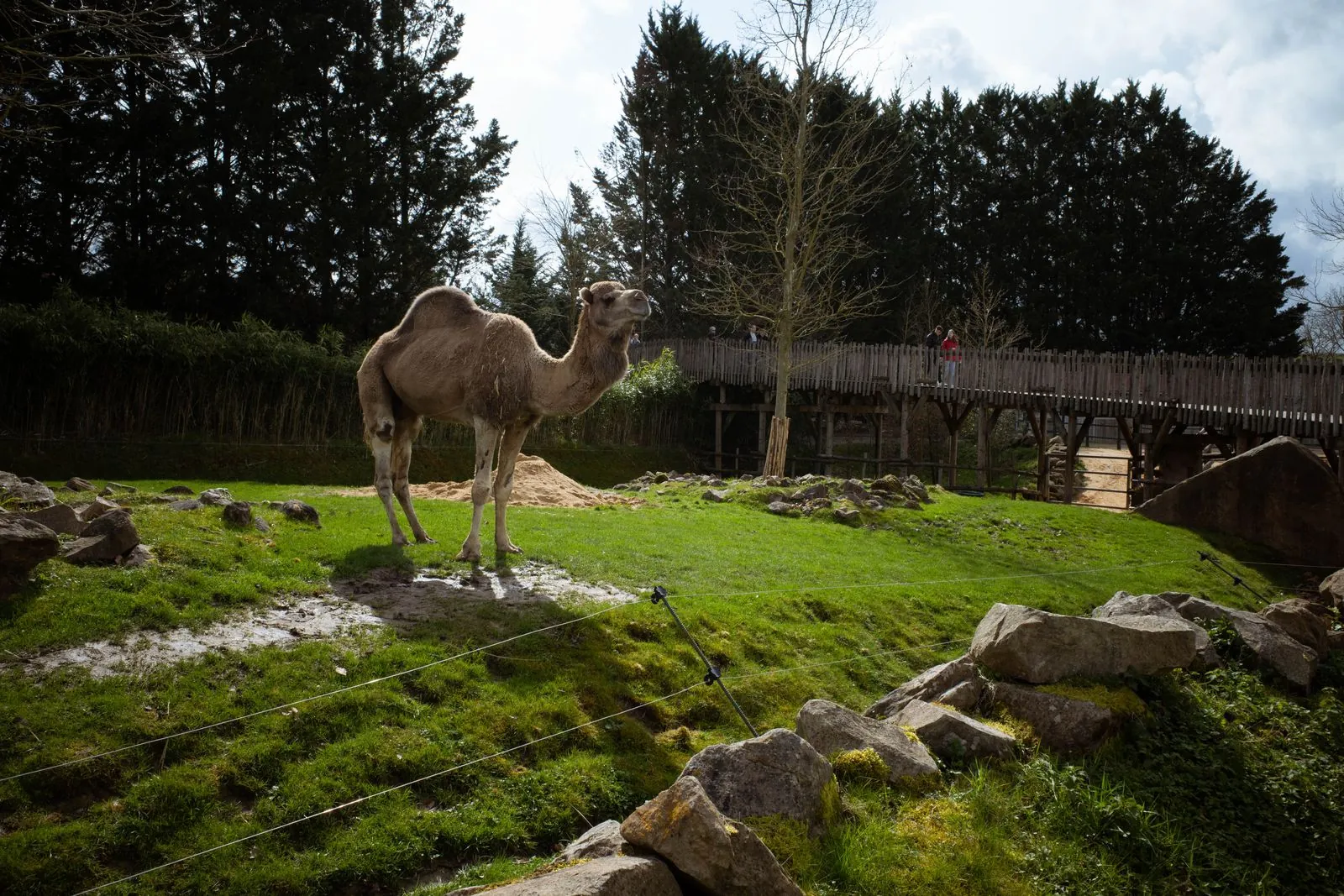 Wat te zien in dierenpark Sainte-Croix?