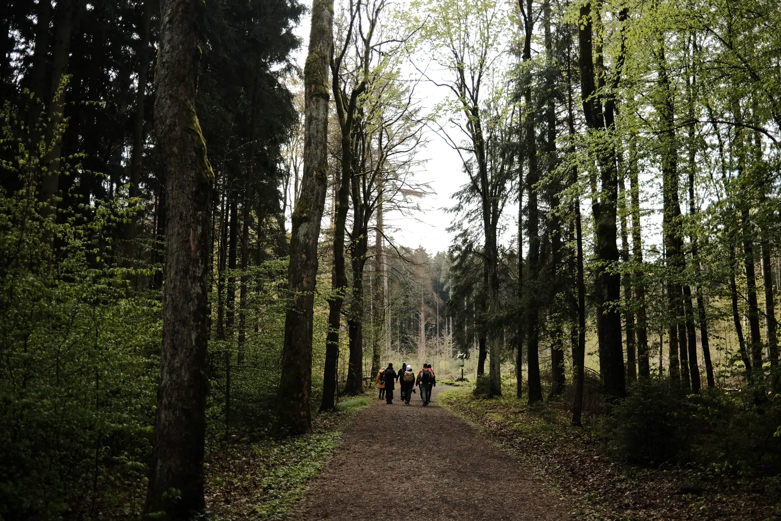 Welke routes zijn er in Geo-Naturpark Bergstraße-Odenwald?
