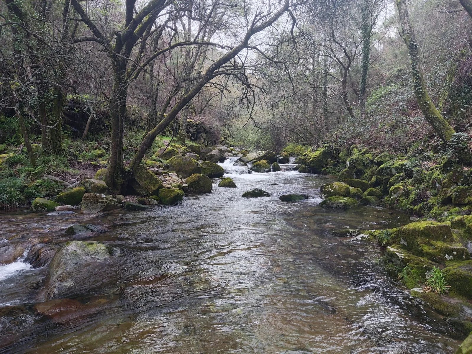 Wandelen en fietsen in en rondom Viseu: de beste routes