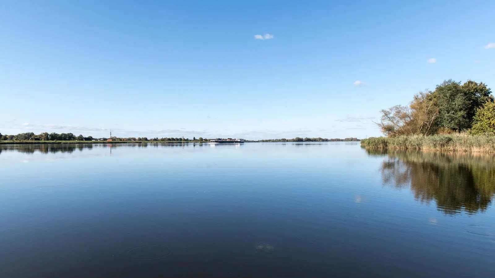 Natuur ontdekken in natuurpark Westensee