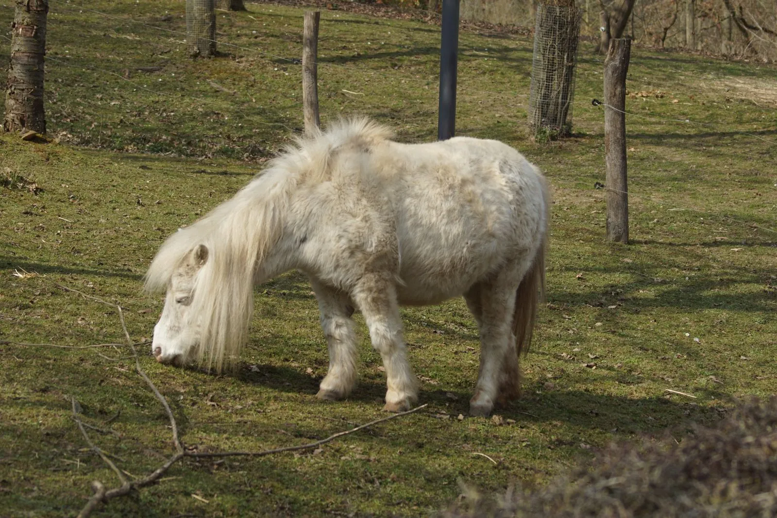 Wat te doen met kinderen bij kinderboerderij De Brink?