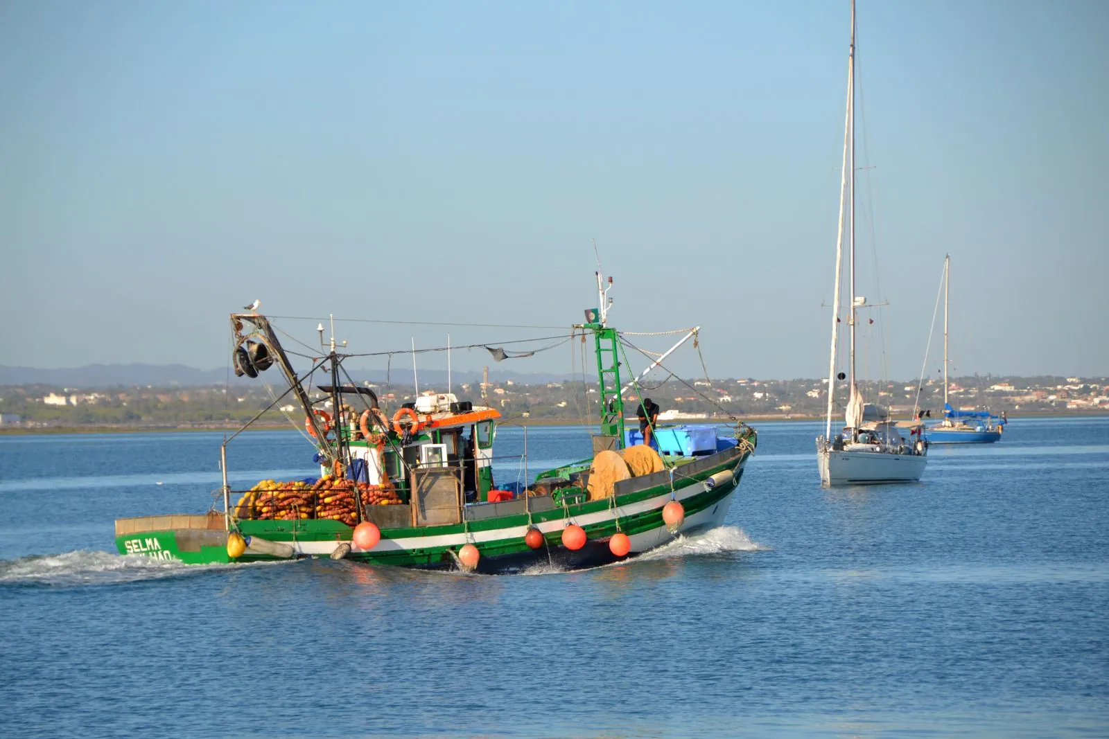 Zeilen en vissen in de wateren rond Faro