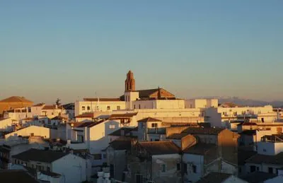 Torrox 