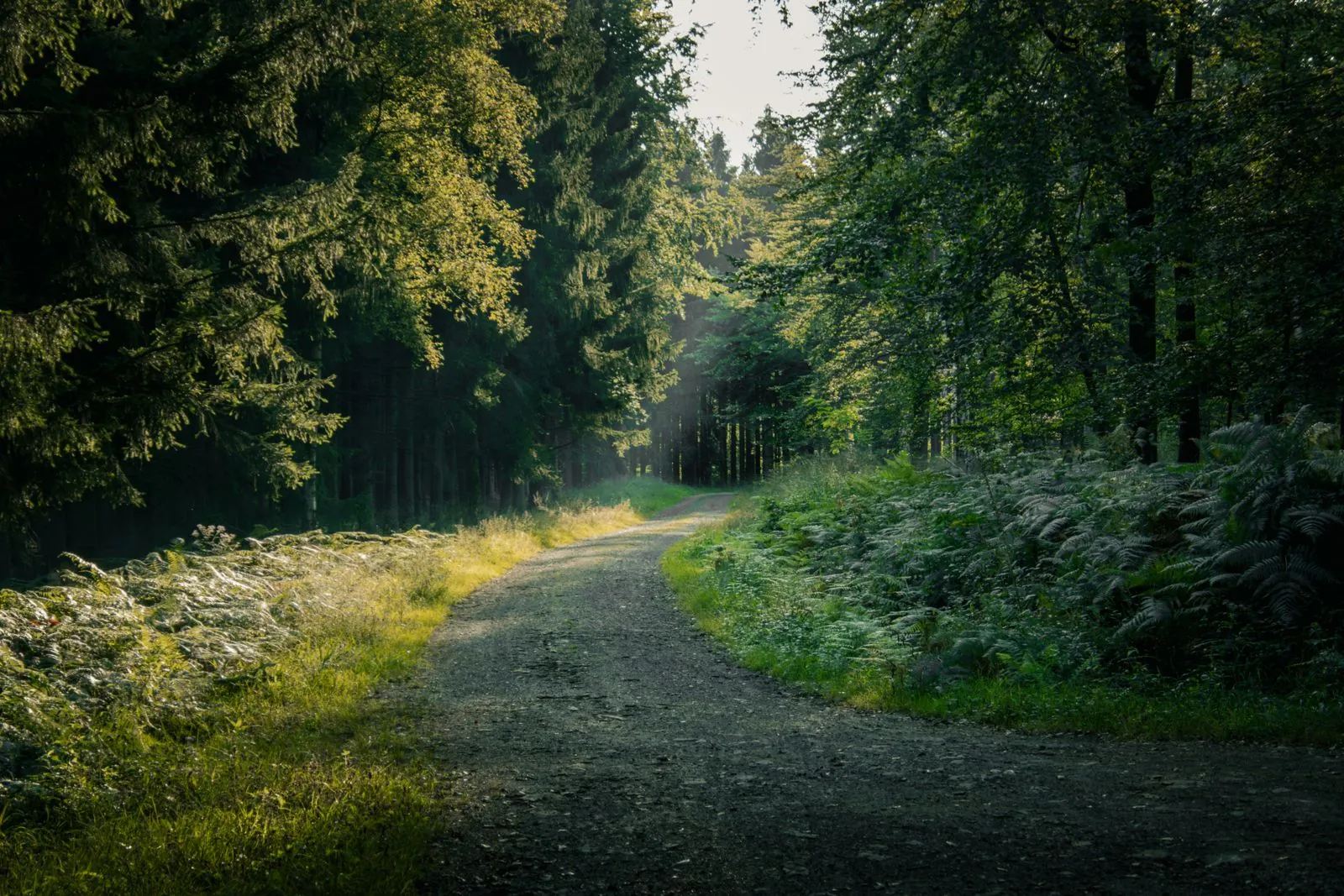 Wandelen in de heuvels van La Hulpe: wat te verwachten