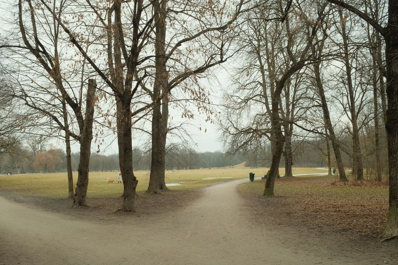 Welke stadsparken in München zijn geschikt voor een wandeling