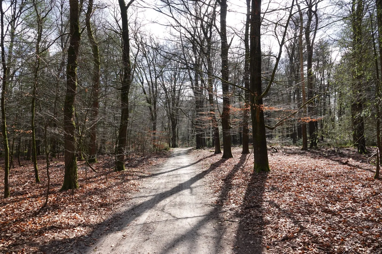 Wat biedt een wandeling langs het Kabouterpad?
