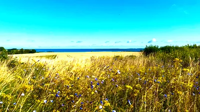 Zingst