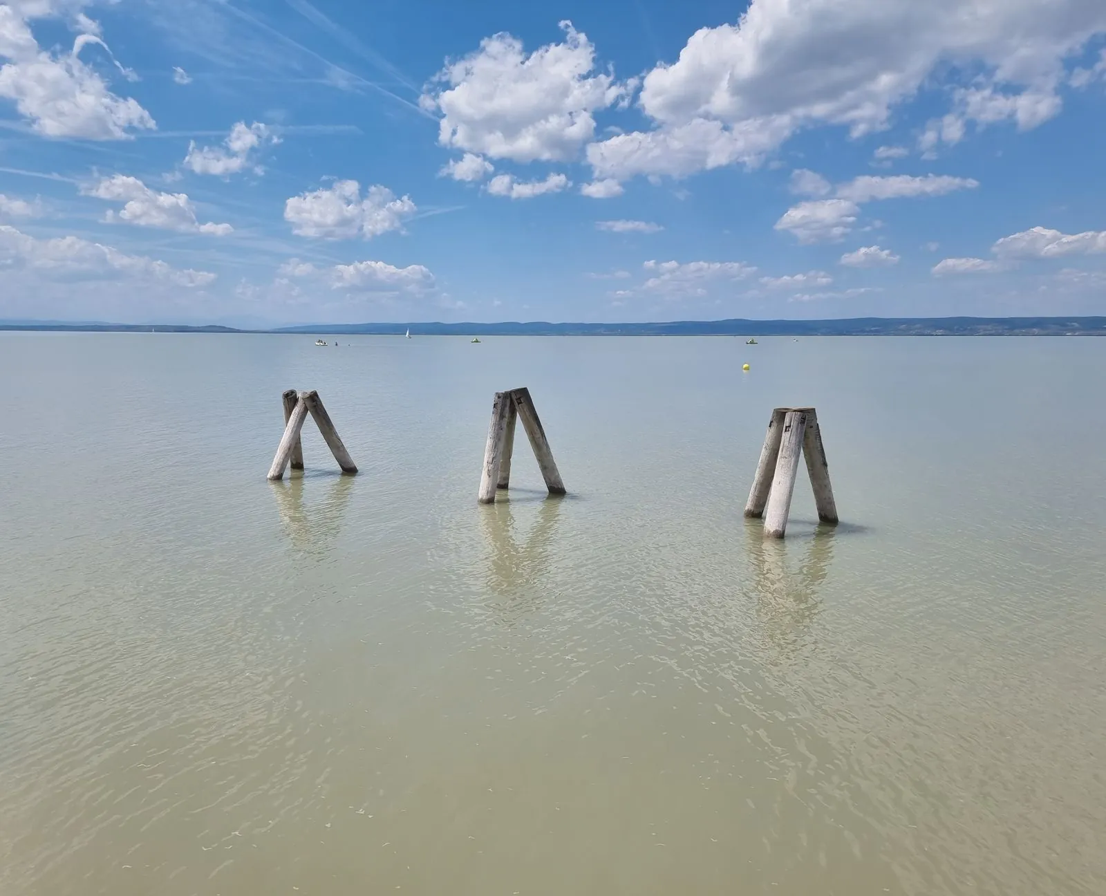 Vogels spotten in het nationaal park Neusiedler See-Seewinkel