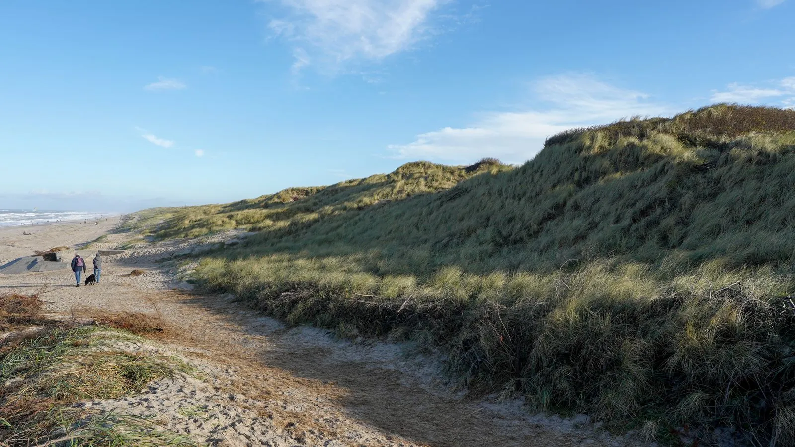 Wandelen door de duinen van Råbjerg Mile