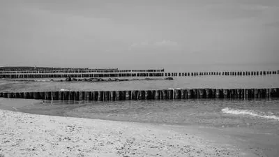 Zingst