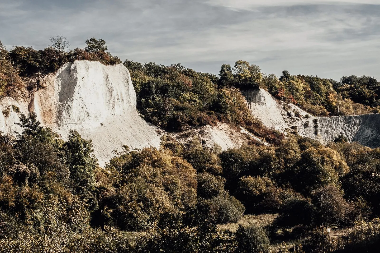De unieke natuur van het Hainich Nationaal Park