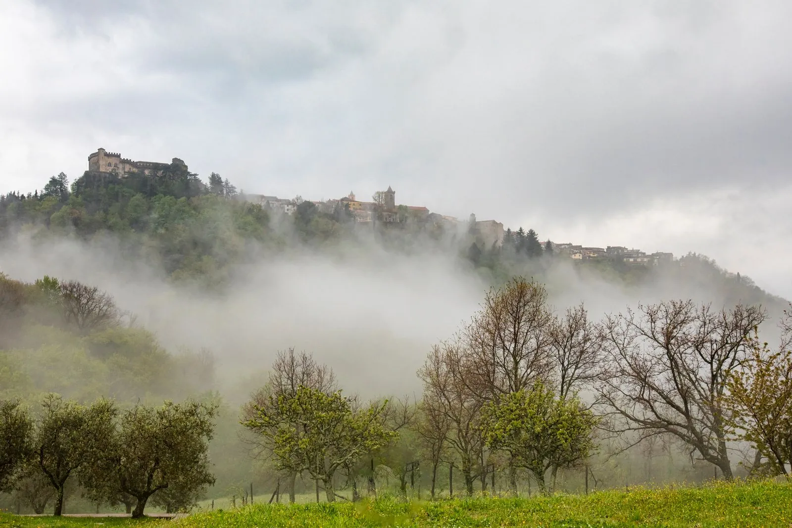 Het betoverende bos van Città di Castello