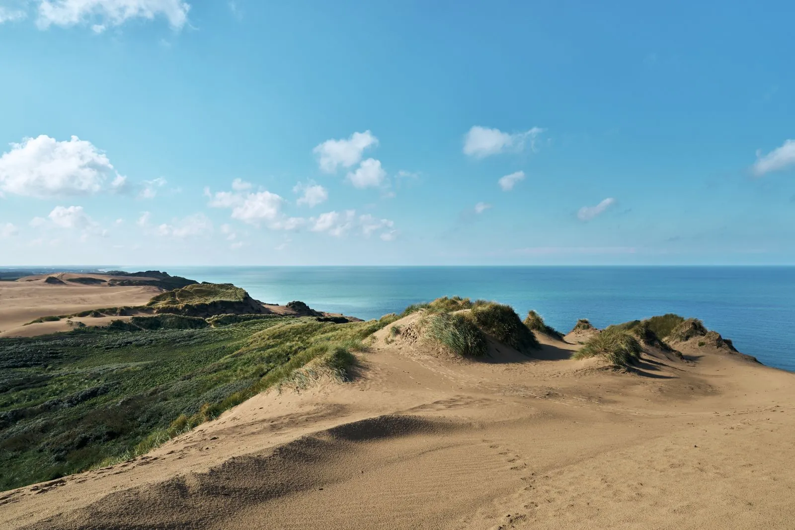 Vakantiehuis in Blåvand