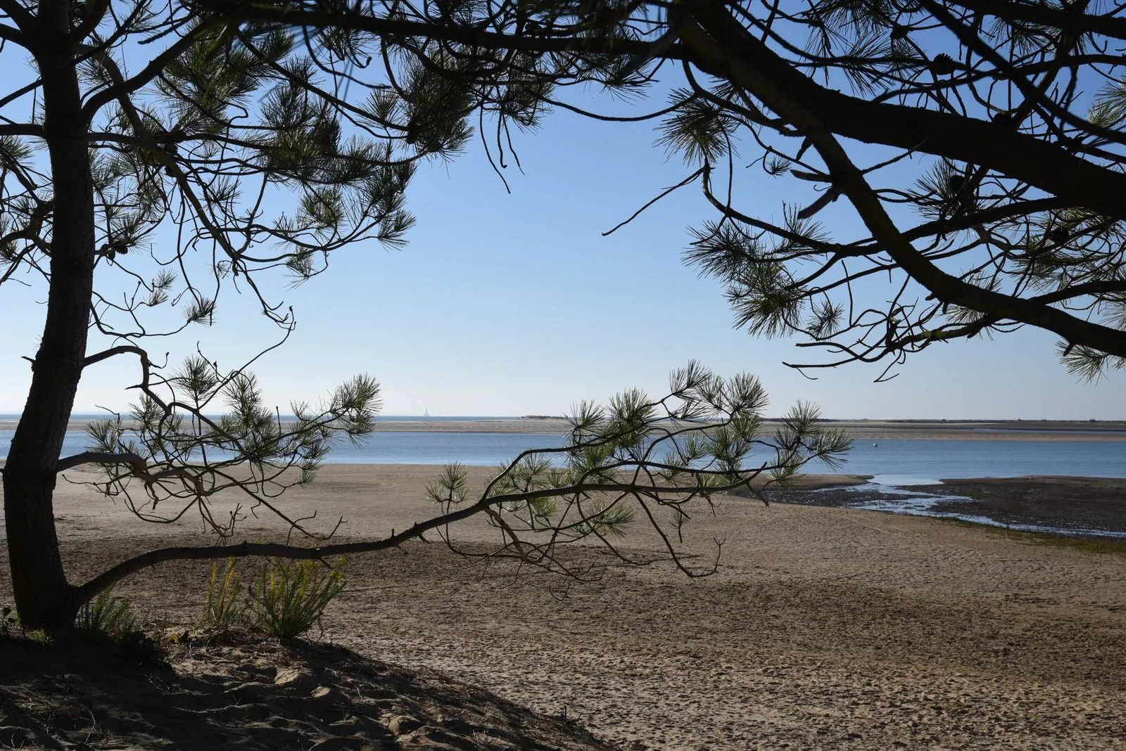 Wandelroutes in natuurgebied Les Landes