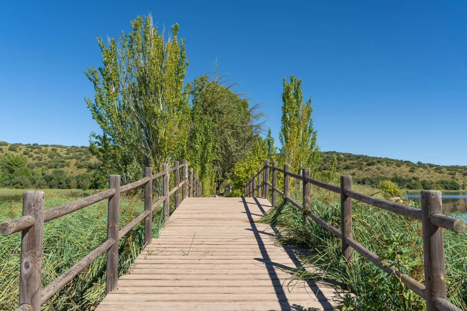 Ruimte om te rennen in het nationaal park Tablas de Daimiel