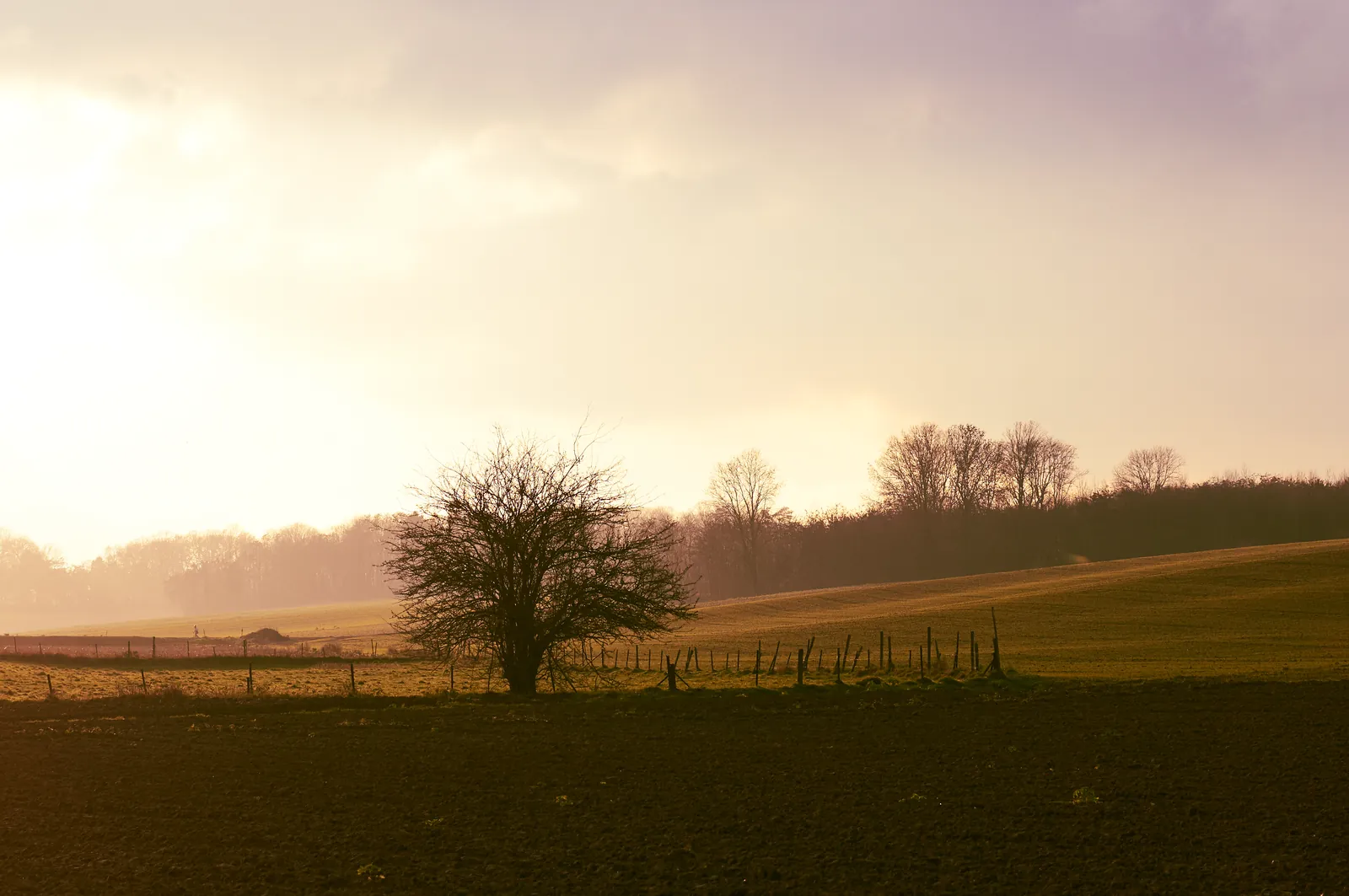Wandelen in de heuvels van Chaumont-Gistoux