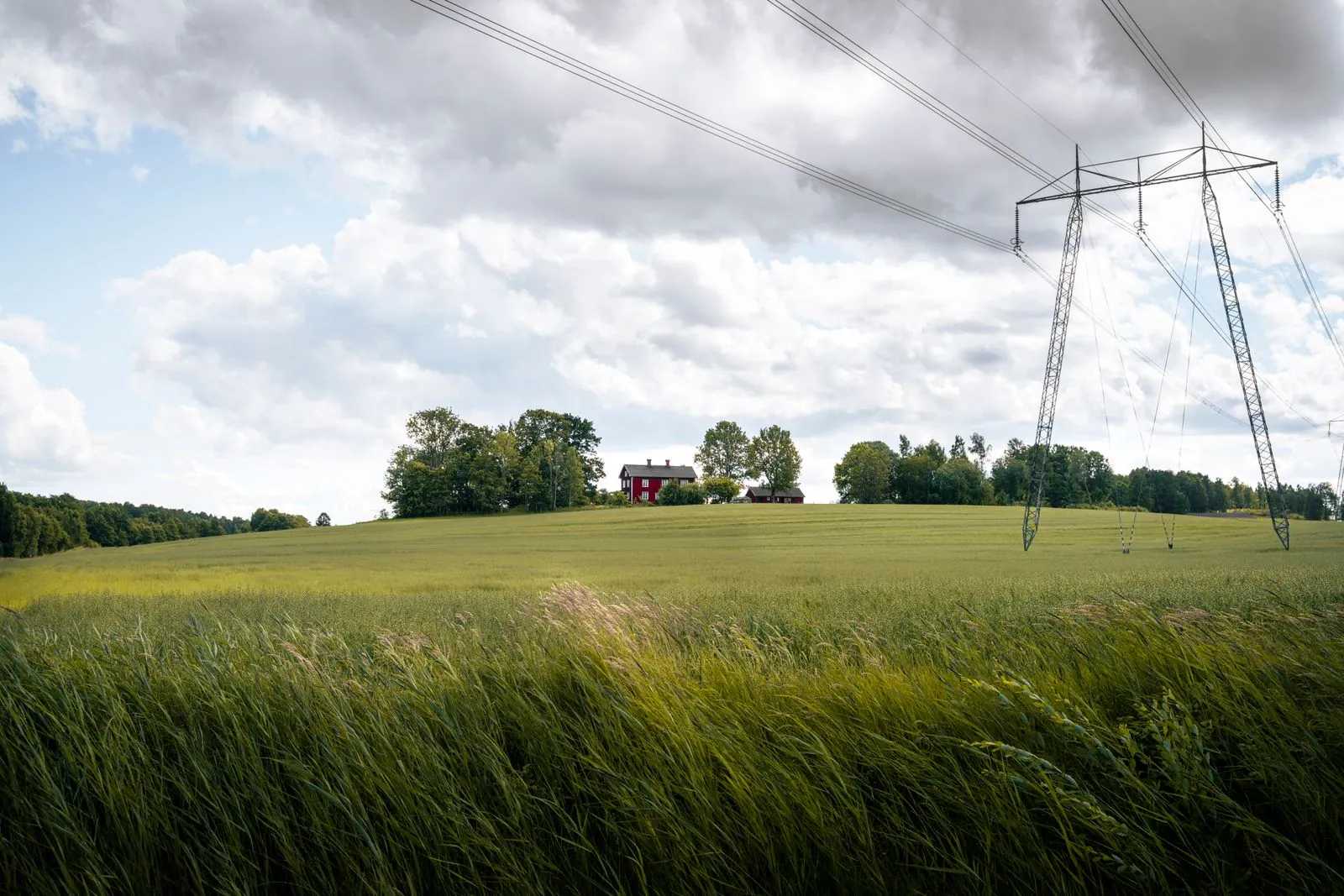 Wandelen langs de kustlijn van Gävlebukten.