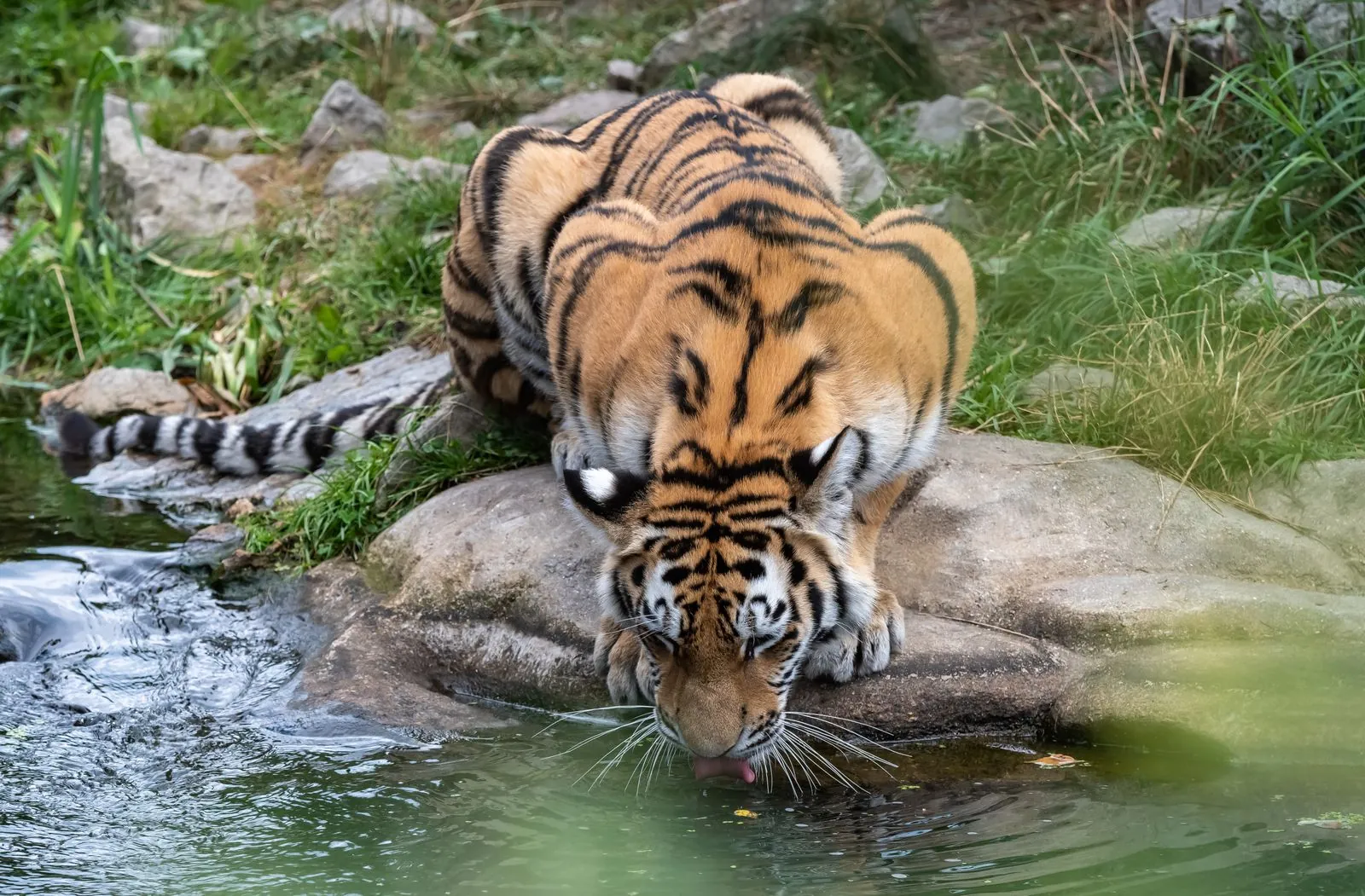Avonturen in de dierentuin van Ústí nad Labem