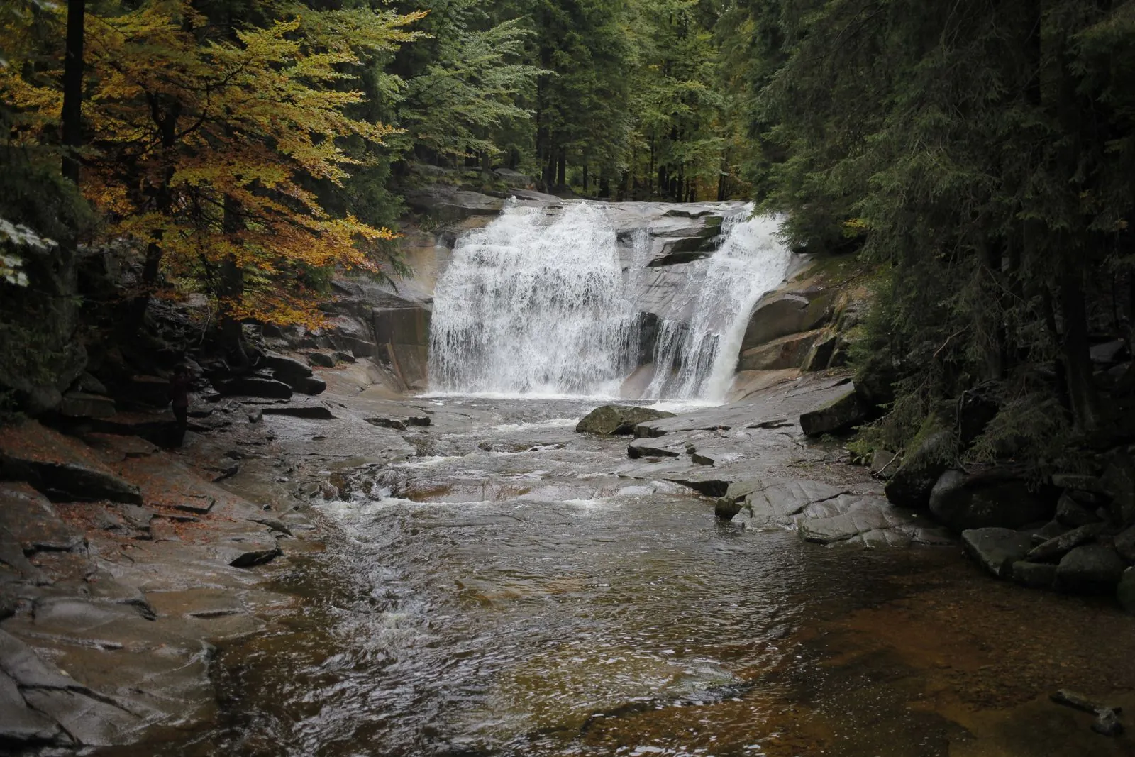 Hondenwandeling bij de watervallen van Labský důl