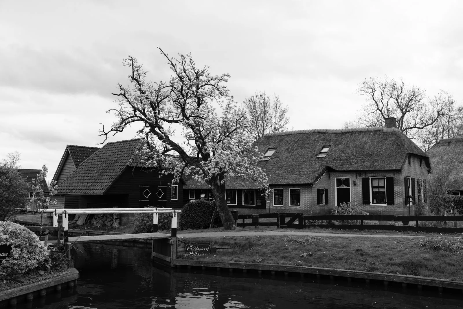 Vakantiehuis met omheinde tuin in Nederland
