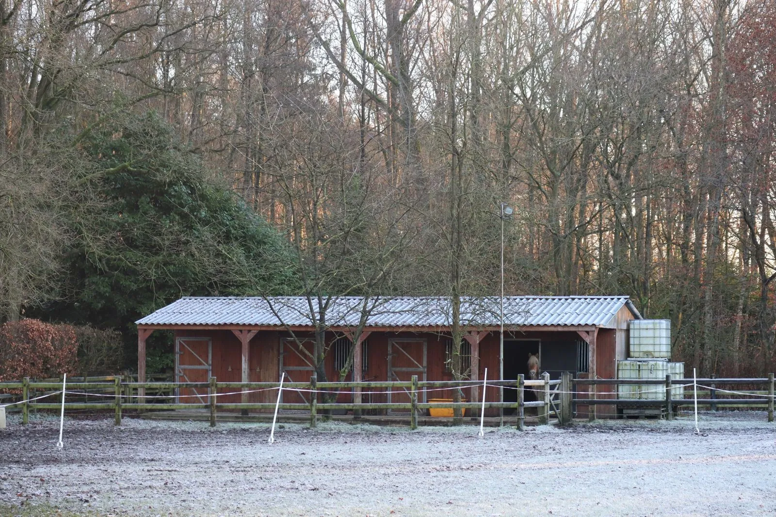 Welke dieren zijn te zien op kinderboerderij Het Leenhof?