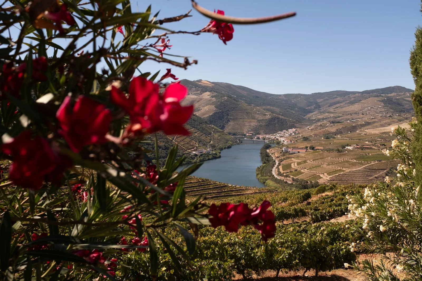 Het pad door de vallei van de rivier de Maçãs