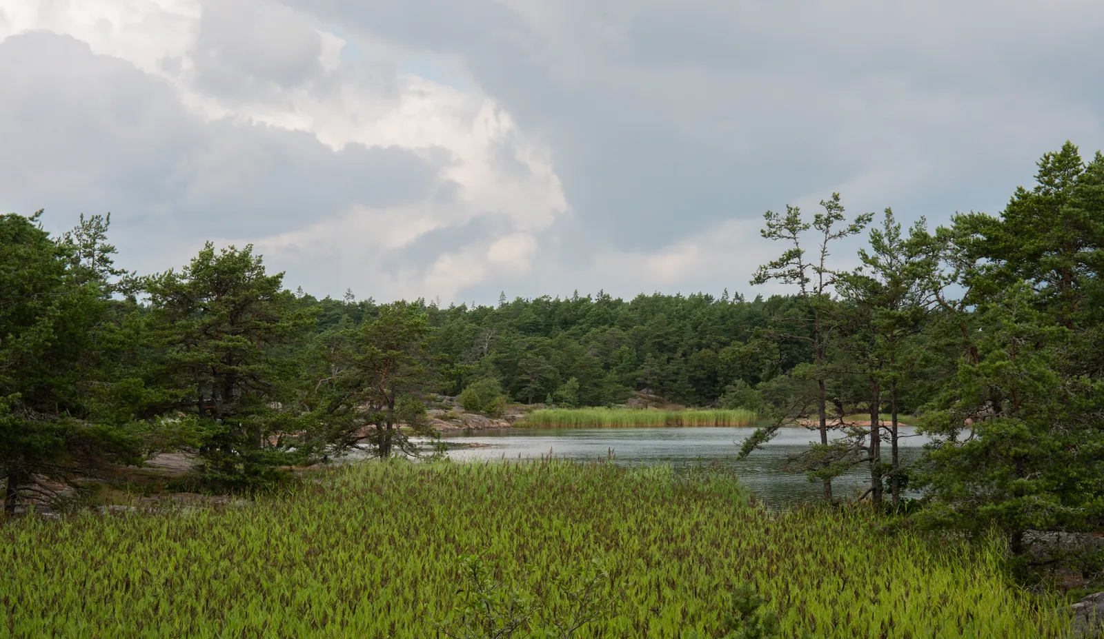 Natuur en cultuur rondom het Dalsland-kanaal