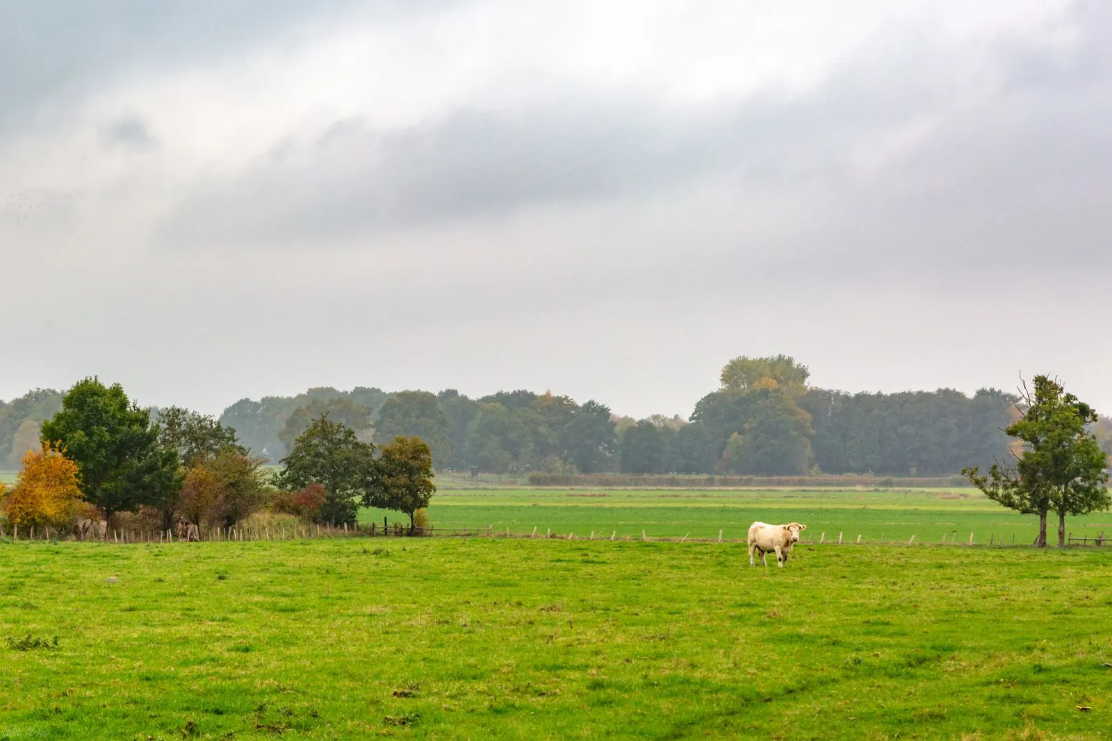 De wonderen van de natuur in Serengeti Park Hodenhagen