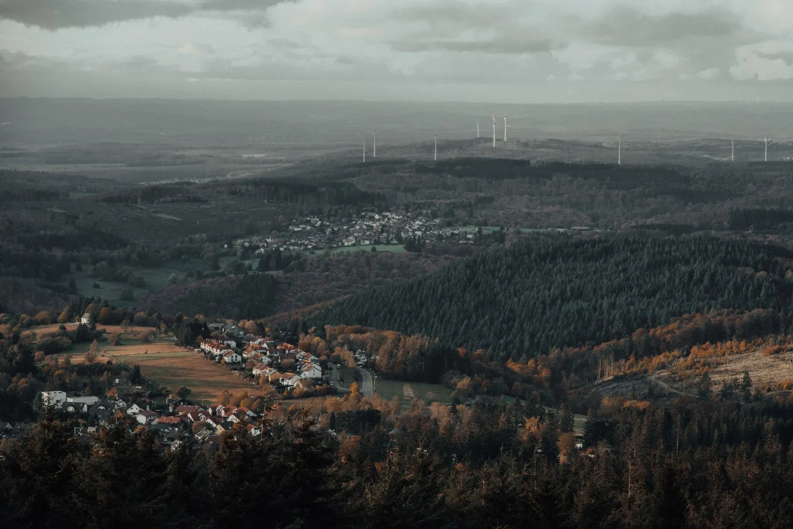 Bayerischer Wald: een mix van natuur en cultuur